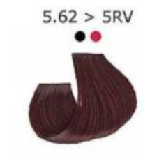 Artego  (Артего) 5.62 - 5RV - светло-коричневый с красно-фиолетовым отт. Стойкая крем-краска для волос ARTEGO IT'S COLOR, 150 мл