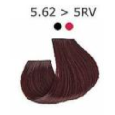 Artego  (Артего) 5.62 - 5RV - светло-коричневый с красно-фиолетовым отт. Стойкая крем-краска для волос ARTEGO IT'S COLOR, 150 мл