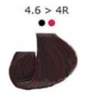Artego  (Артего) 4.6 - 4R - коричневый красный Стойкая крем-краска для волос ARTEGO IT'S COLOR, 150 мл
