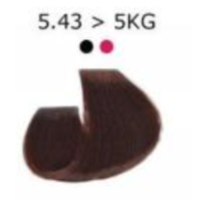 Artego  (Артего) 5.43 - 5KG - светло-коричневый с золотисто-медным отт. Стойкая крем-краска для волос ARTEGO IT'S COLOR, 150 мл