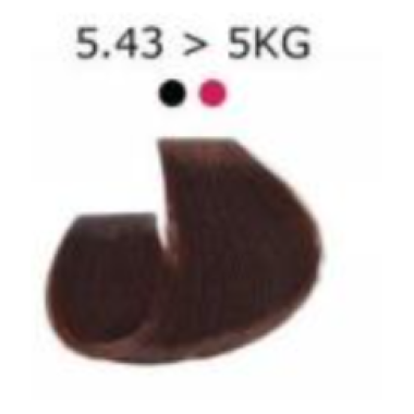 Artego  (Артего) 5.43 - 5KG - светло-коричневый с золотисто-медным отт. Стойкая крем-краска для волос ARTEGO IT'S COLOR, 150 мл