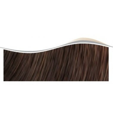 Artego  ( АРТЕГО ) 5.0 - 5N Light Brown / Светлый коричневый  Многофункциональный масляный краситель   BEAUTY FUSION, 100мл