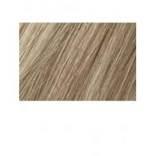  Artego  ( АРТЕГО ) 10.1 - 10A Lightest Ash Blonde / Самый светлый пепельный блондин BEAUTY FUSION, 100мл