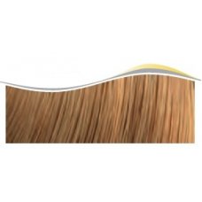 Artego  ( АРТЕГО ) 9.3 - 9G Very Light Gold Blonde / Очень светлый золотистый блондин BEAUTY FUSION, 100 мл