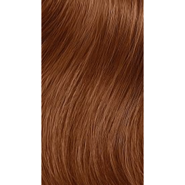 Paul Mitchell (Пол Митчелл ) - 6GV Безаммиачный краситель The Demi 60 мл Paul Mitchell (Пол Митчелл ) - 6GV Безаммиачный краситель The Demi 60 мл