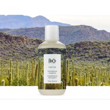 R+CO (Р+КО)  Кактус Текстурирующий Шампунь ( Cactus Texturizing Shampoo ) 177 мл